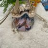 CARTERA "POMPA" FIORA BORSETTA - Imagen 3